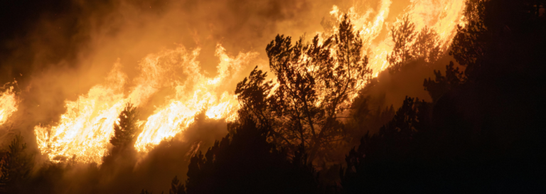Cómo actuar si un incendio amenaza tu vivienda.
