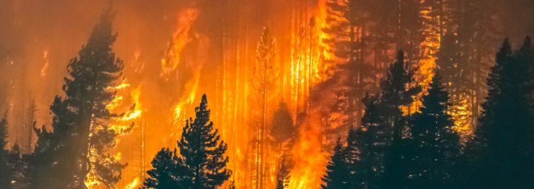 Ante los incendios ocurridos en toda España, ¿cómo actuar?